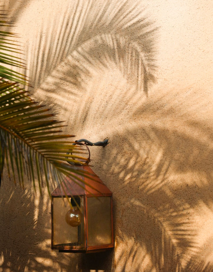 Voyage Essaouira 05